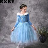 Autumn and winter Frozen princess Elsa dress girls long sleeved children dress Aisha skirt