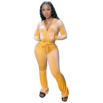 Women'S Solid Color Gold Velvet Zipper Hoodie Wide-Leg Trousers Two-Piece Set