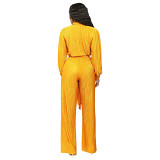 Pleated Lapel Long Sleeved Wide Leg Jumpsuit With Waistband