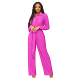 Pleated Lapel Long Sleeved Wide Leg Jumpsuit With Waistband