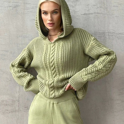 Hooded Long-Sleeved Knit Sweater