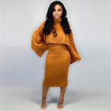 Fashionable Solid Color Turtleneck Sweater Skirt Two-Piece Set