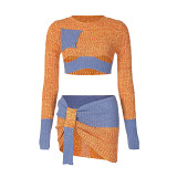Fashion Knit Long Sleeve Crop Top Slim Skirt Set