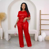 Sequin Solid Color Short Sleeve Pants Two Piece Set