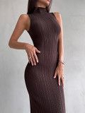 Knit high neck sleeveless bodycon maxi long elegant dress