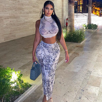Stand collar sleeveless crop top straight maxi skirt print 2 piece set