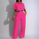 Summer new fashion lapel short sleeve high waist wide leg trousers fashion suit