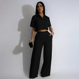 Summer new fashion lapel short sleeve high waist wide leg trousers fashion suit