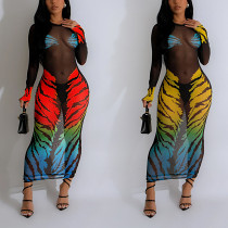 Fashion women's print perspective long sleeve slim mesh long dress