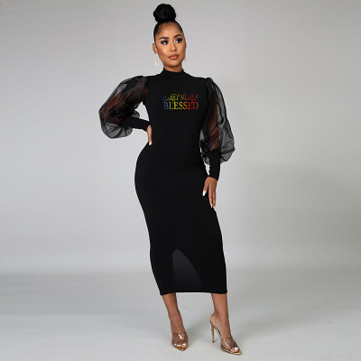 Printed Mesh Lantern Sleeve Women Elegant Long Midi Dress