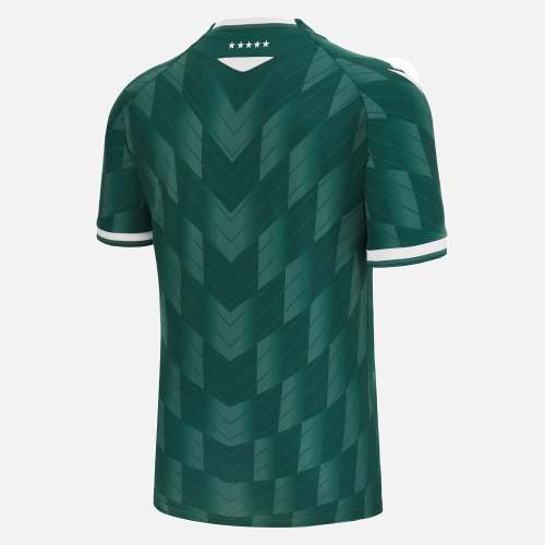 Thai Version Santiago Wanderers 23/24 Home Jersey