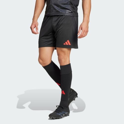 Thai Version Benfica 24/25 Away Shorts