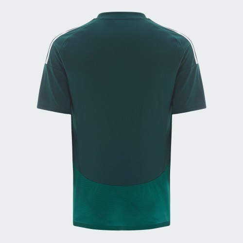 Thai Version Al Ahli SFC 24/25 Away Jersey