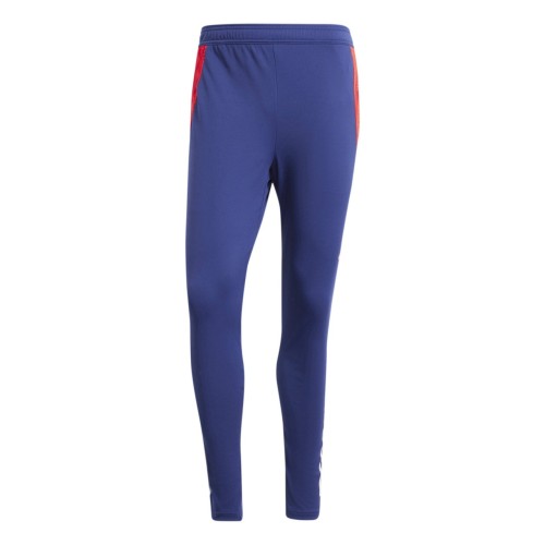 Player Version Olympique Lyon 24/25 Pro Training Pants