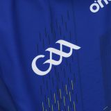 Wicklow GAA 2025 Mens Home Jersey - 3 Stripe