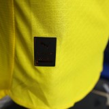 Player Version Borussia Dortmund 25/26 Cup Authentic Jersey