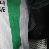 Player Version Palestino 25/26 Home Authentic Jersey