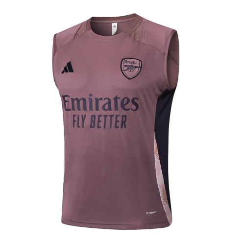 ARS 24/25 Sleeveless Jersey and Shorts Set D1304