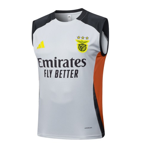 Benfica 24/25 Sleeveless Jersey and Shorts Set D12976