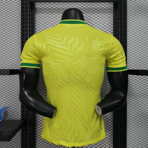 Player Version Brazil 2025 Special Authentic Jersey
