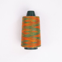 Rainbow Sewing Thread - 040806#
