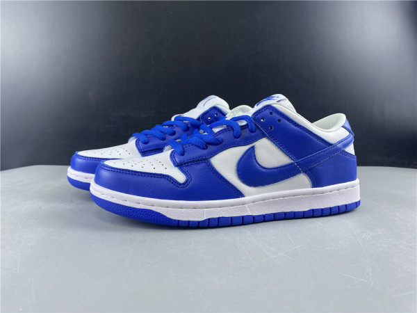 NIKE SB DUNK LOW