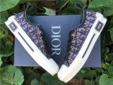 JORDAN LOW dior