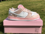 Nike SB Dunk Low