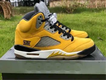 Air Jordan 5