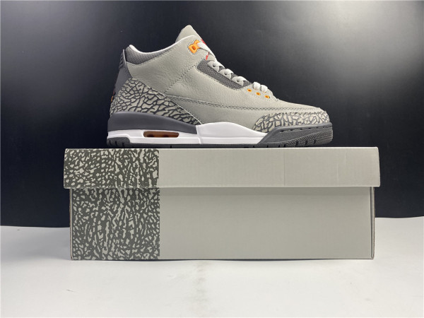 Air Jordan 3``Cool Gray''