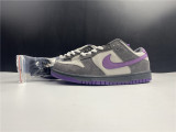 NIKE DUNK SB Low Purple Pigeon