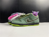 Nike SB Dunk Low x Concepts