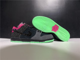 Nike SB Dunk Low Premier Northern Lights