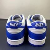 sb dunk blue