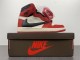 Air Jordan 1 travis