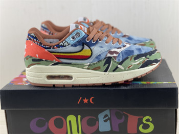 Concepts x Nike Air Max 1