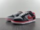 Nike Dunk Low “CAU”