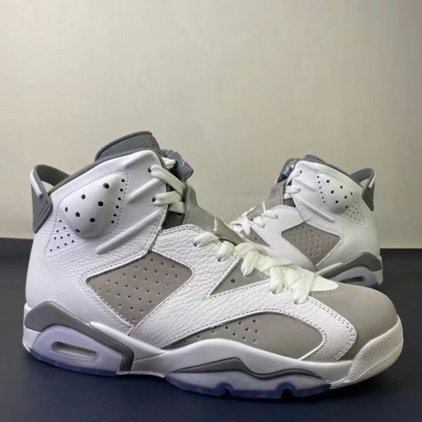 Air Jordan  6