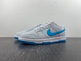 Nike Dunk Low Retro