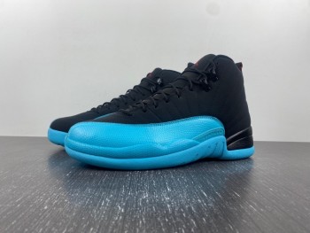 Air Jordan  12