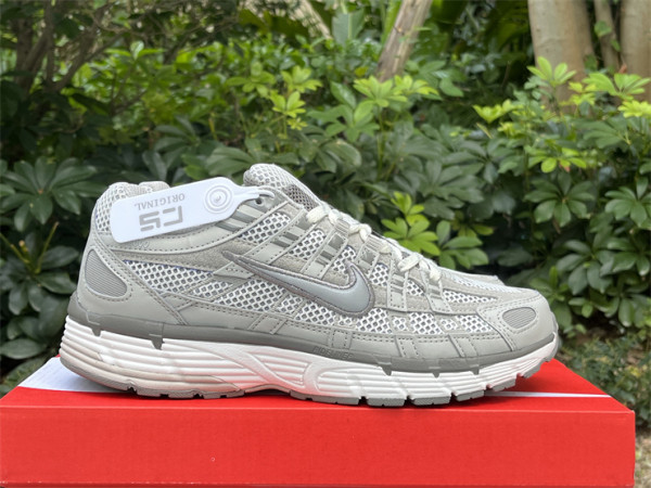 Nike P-6000 PRM NA