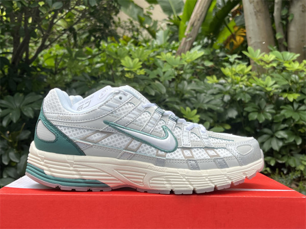 Nike P-6000