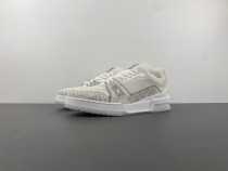 Louis Vuitton LV trainer