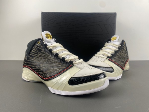 Titan x Air Jordan 23