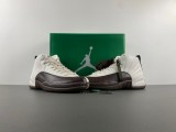 Air Jordan 12 White/Baroque Brown-Sail