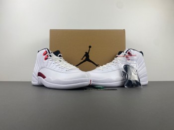 Air Jordan 12