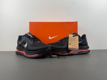 Nike Pegasus Premium