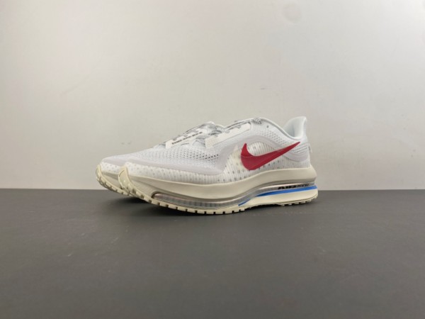 NIKE Pegasus Premium