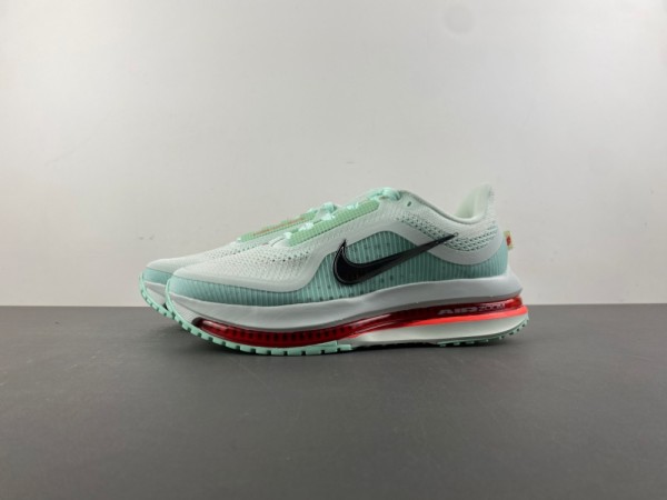 NIKE Pegasus Premium