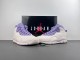 Air Jordan 10